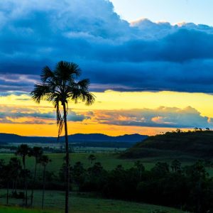 Chapada dos Veadeiros