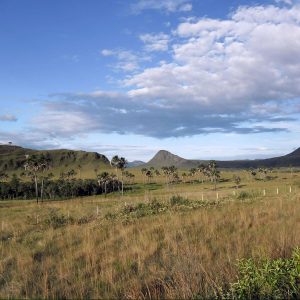 Parque Nacional Chapada dos Veadeiros